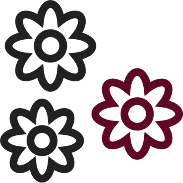 icon12