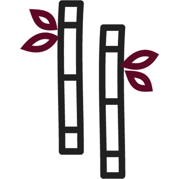icon13